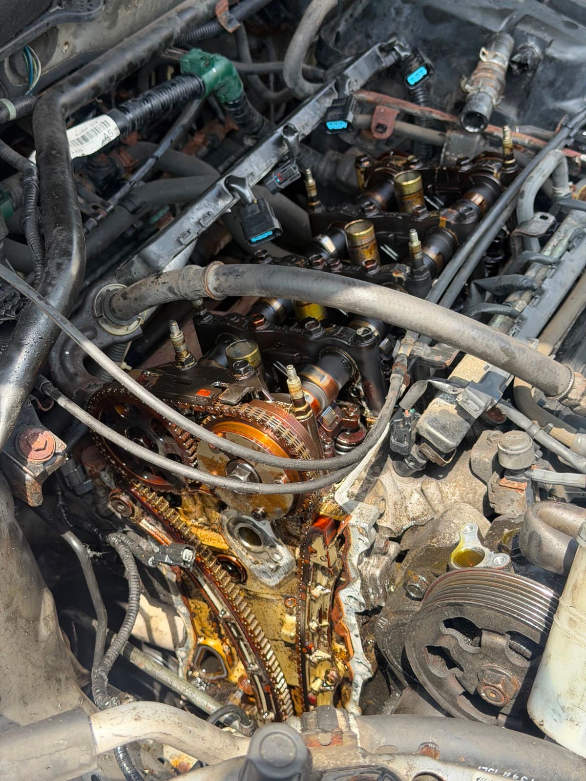 Timing chain and cam gears exposed during engine repair